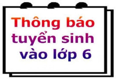 ảnh ts