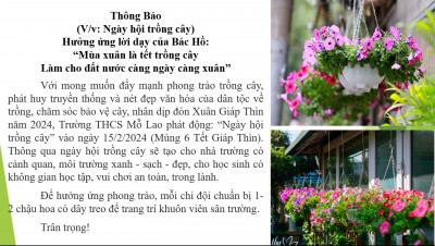 thông báo tết trồng cây