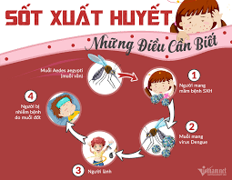Sốt xuất huyết và những điều nên biết