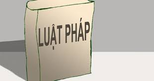 pháp luật