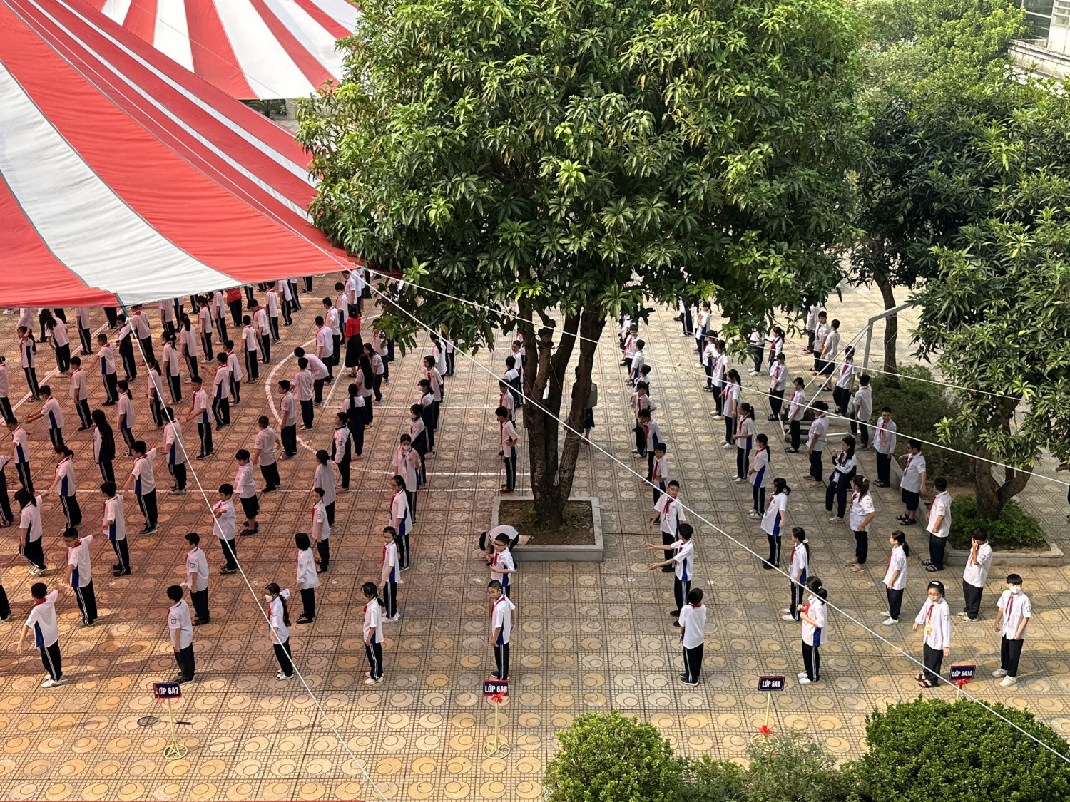 Thể dục 4