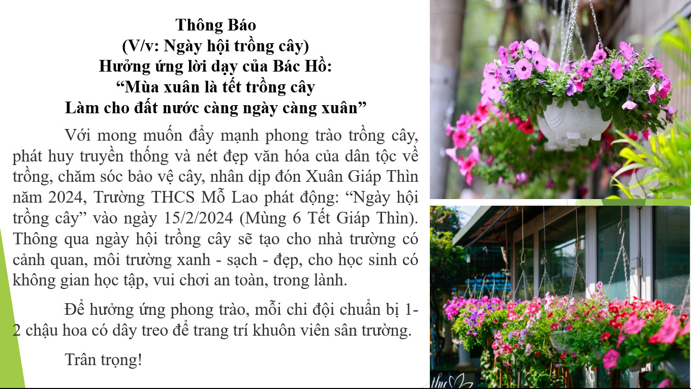 thông báo tết trồng cây